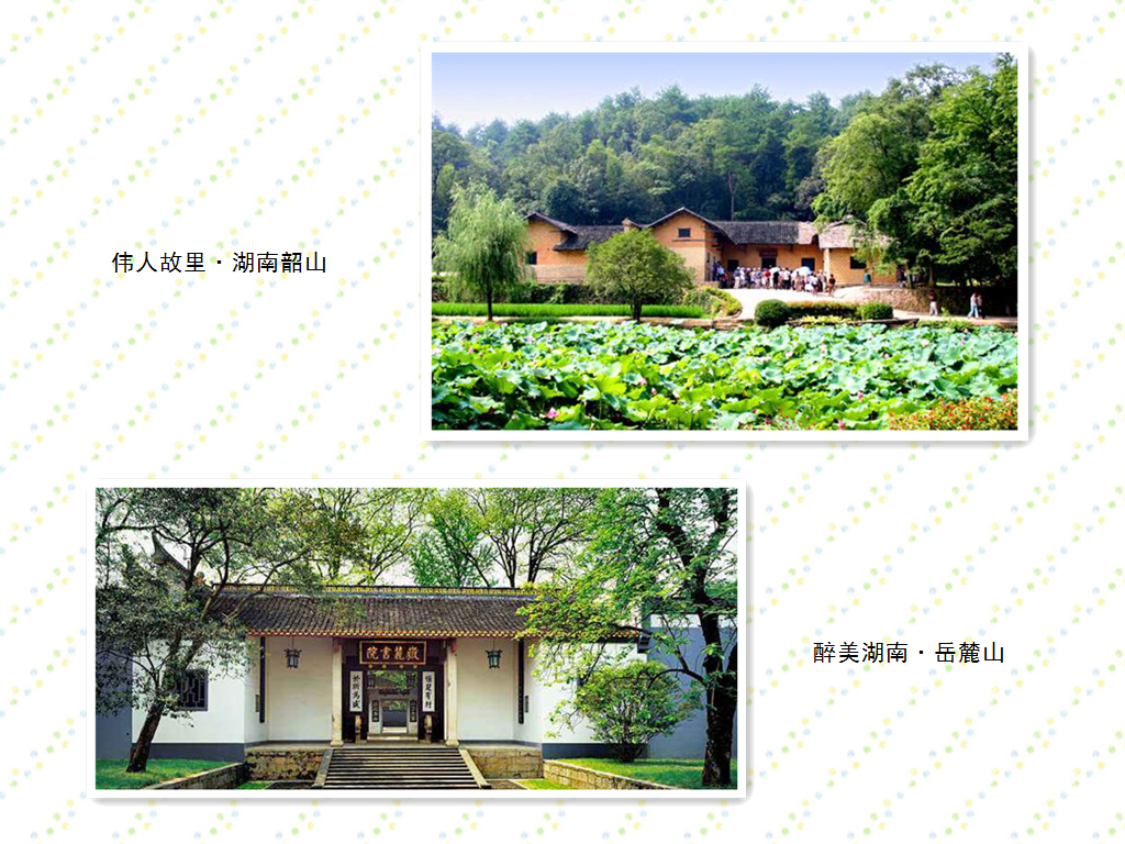 图片1_副本.png